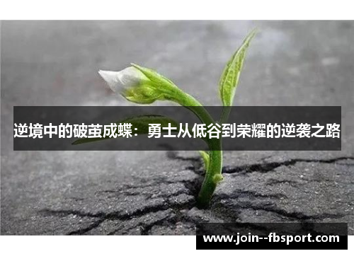 逆境中的破茧成蝶：勇士从低谷到荣耀的逆袭之路
